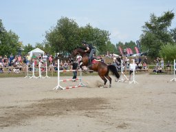DSC_9502_web
